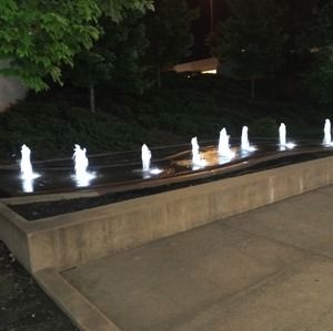 Meet your Posher, Lawrence